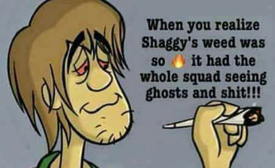 When you realize Shaggy's weed was so FIRE, it had the whole SQUAD seeing ghost.
