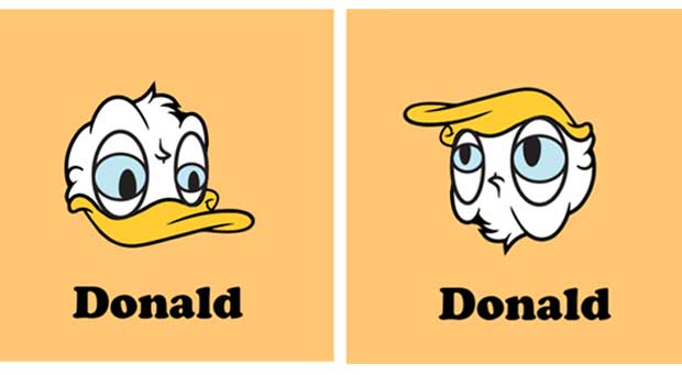 Donald, anyone one, Trump, Duck, 