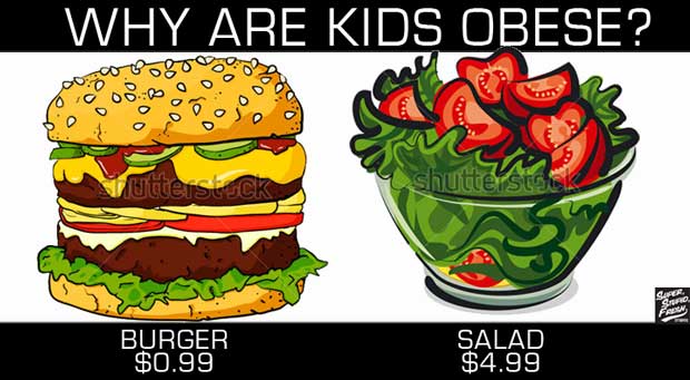 WHY ARE KIDS OBESE? Because the Government subsidizes un healthy foods.
